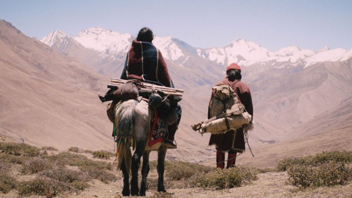 नेपाल–अमेरिका अन्तर्राष्ट्रिय चलचित्र महोत्सवमा १५ देशका ३१ फिल्म देखाइने